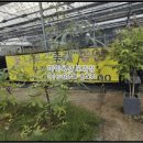 여수대로 이미지