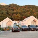 테라머뭄 이미지