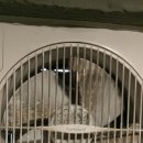 더캠프PC방 김해삼정점 이미지