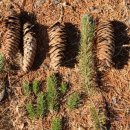 보배 어린이공원 이미지