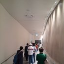 🐽🐽🐽어떻게 지킨 조국인데..... 이미지