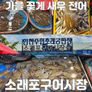 소래포구어시장 가을 꽃게 새우 전어 가격 솔직후기