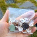 사파평생교육센터 이미지