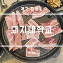 황금돼지무한리필 | 마포 합정동 돼지파티 쌉가능한 무한리필 돼지대학교 후기