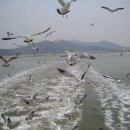 (주) 로진 Daum카페