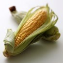 강남연세재활의학과의원 이미지