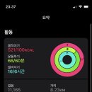 일상운동