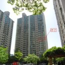 세월천로 이미지