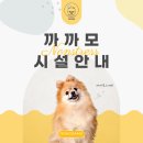 까까모 | [공지] 광주북구애견미용, 까까모 시설 안내