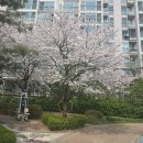 박달1동-1 이미지