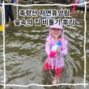 숲속의 계곡 | 휴양림 예약 방법 및 축령산자연휴양림 계곡 숲속의집 비둘기 후기