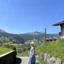 스위스 | 스위스 베른에서 그린델발트 당일치기 후기 + 피크닉 위치 추천