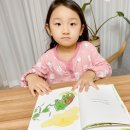 돼지네울타리 이미지
