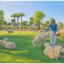 양떼목장 이미지