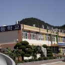 일직초등학교 Daum카페