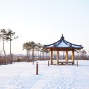 비비정 상생 도시숲 이미지