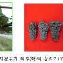 농촌진흥청발표-주간농사정보 제25호 (2014.6.15 ~ 6.21) 이미지