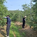 금산군청 이미지