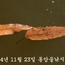 가랑잎! - 동암골 이미지