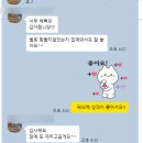 다드멍 | 벌써 두번째 방문 ! 추석맞이 고양이 미용 털이 너무 날려 방문한 용봉동 다드멍 광주북구고양이미용