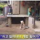 대추밭골 이미지