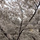 기분조은타이어 이미지