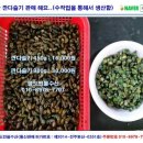 자연산다슬기
