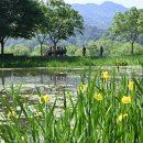 거창-거창-13 이미지