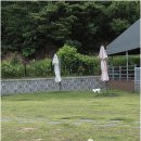 놀다가개유치원 네이버블로그