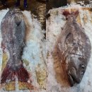 서남구수협앞 이미지