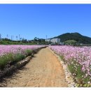 광양읍 부영아파트앞공원 이미지