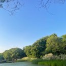 서울숲 스테이 이미지