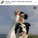 4컷 속에 나를 담다 | [ W.12 ] 제주 온담스냅 계약 후기 / 온마음을 담다 (내돈내산)