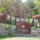 초막골 이미지
