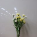 델로스퍼니처