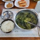 용머리약국 | 엄마랑 제주도 패키지여행 2일차 후기｜요트체험·용머리해안·카멜리아힐 코스