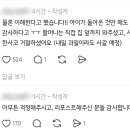 복슬강아지 이미지