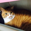 산타클라라동물병원 이미지