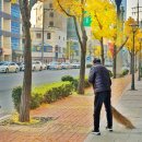 나랑 그림책이랑 | 그림책 후기 껌똥구리 나는 왜 이 일을 하고 있는가?