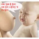엔돌핀 Daum카페