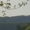 두메산골 Daum카페