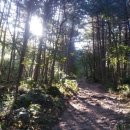 쪽빛하늘로 이미지