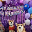 바우라움 메인캠퍼스 이미지