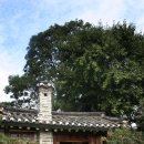 바두바투주