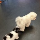 멍돌하우스 이미지