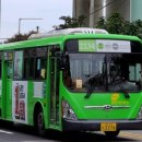 숲의 아이 이미지