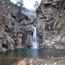 철원막국수 이미지