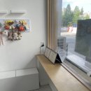 멍멍미식회 이미지