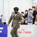 스타덤 펫살롱 이미지