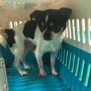 유엔평화로 이미지